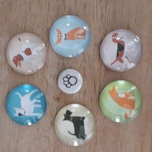 Bundle of 7 Colorful Dog & Paw Magnets RR107